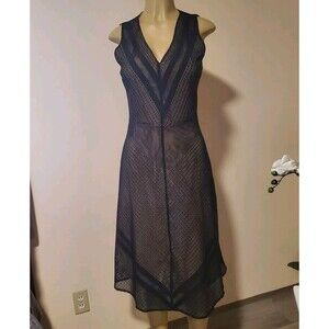 Navy Days |Women's Lace Navy Dress Small Sheer Underlined Romantic Career Formal